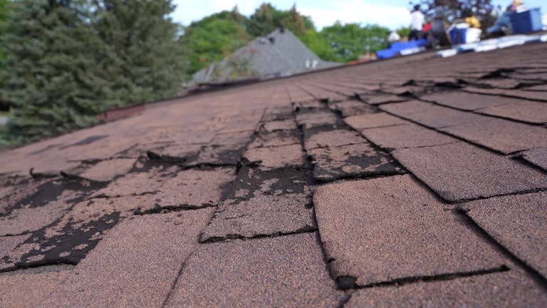  Englewood, TN Roofing Service Pros